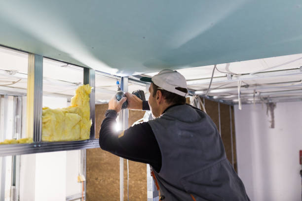 Best Insulation Repair Services  in Emerald Isle, NC