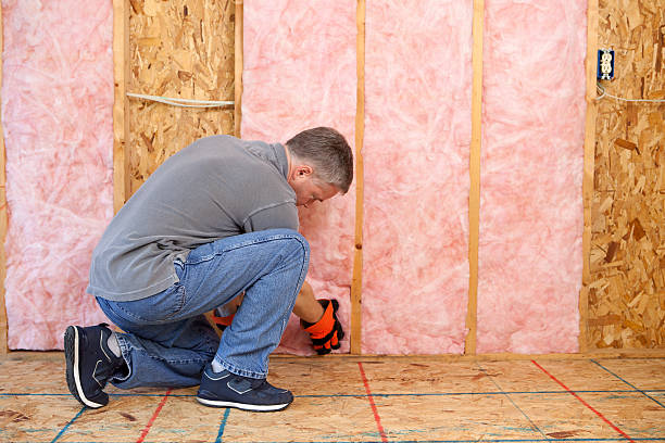 Best Insulation Replacement Services  in Emerald Isle, NC
