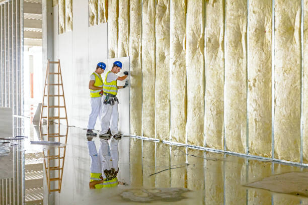 Best Attic Insulation Installation  in Emerald Isle, NC